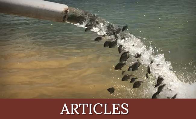 Articles Spring Creek Outdoors, LLC Articles