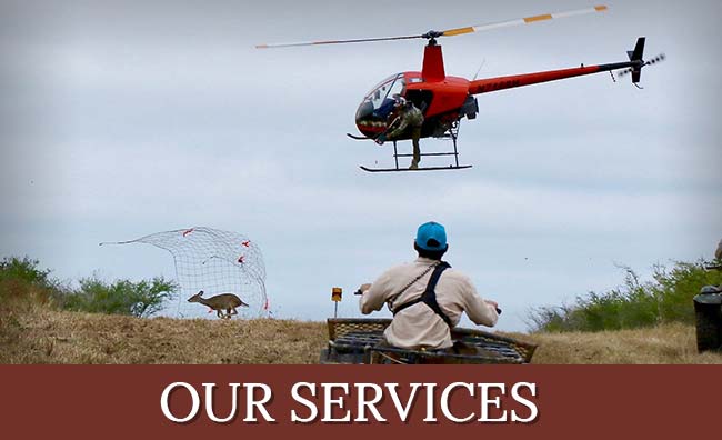 Our Services Spring Creek Outdoors, LLC Services