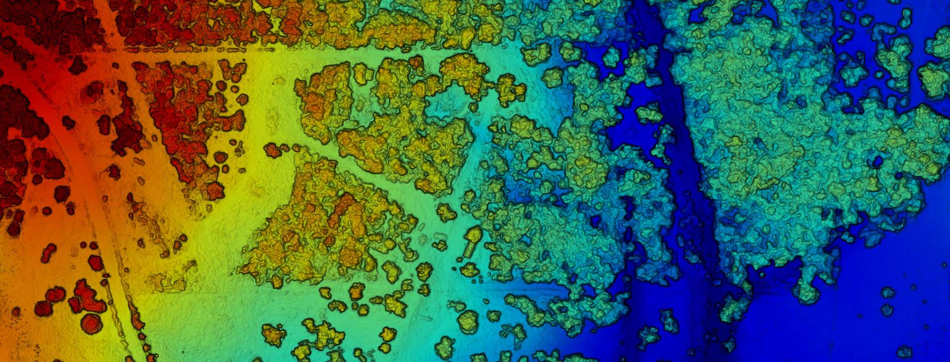 Thermal Drone Wildlife Surveys and Other Services In Texas Thermal Drone Wildlife Surveys and Other Services In Texas