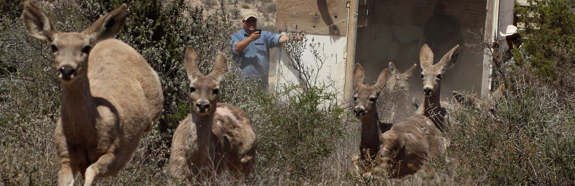 Consulting & Field Services Consulting & Field Services