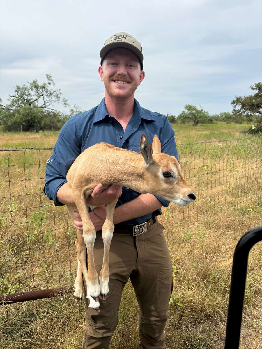 Wade Ledbetter - Wildlife Biologist Wade Ledbetter and baby oryx