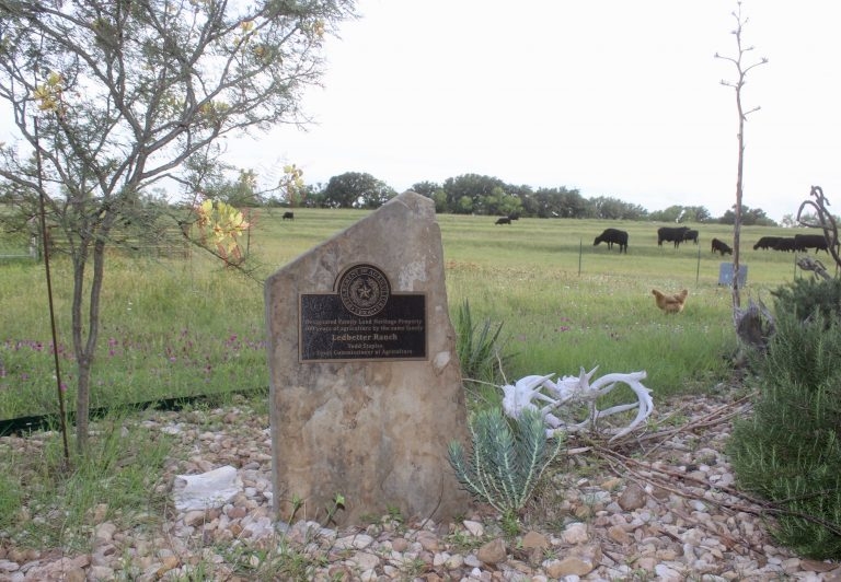 Experienced, Results Driven Wildlife Biologists Experienced, Results Driven Wildlife Biologists